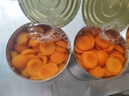 Trockener Platz-Speicher konservierte fette 80 Kalorien Transportes der Aprikosen-Stück-0g