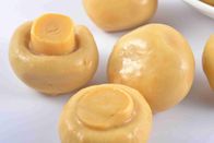 In Büchsen konservierte ganze Knopf-Pilze/Chinese konservierten Pilze 36 Monate Haltbarkeitsdauer-in Büchsen