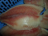 Thailand-Ursprungs-frische gefrorene Meeresfrüchte/Masse gefrorene Fische Tilapia-Leiste
