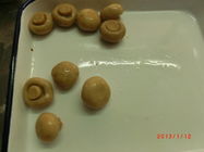 Ganze Form in Büchsen konservierter Champignon-Pilz mit reicher Nahrungs-Kurzschluss-Vorbereitungs- und Anlaufzeit