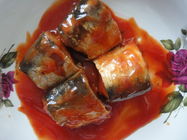 Reine Makrelen-Fischkonserven im Tomatensauce-/Salzlösungs-/Öl-ausgezeichneten feinen Geschmack