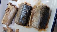 EU zugelassene Makrelen-Fischkonserven im Salzlösungs-hohen Herzen gesundes Omega - 3 Fettsäuren