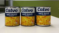 Calvo-Marke machte Nettogewicht 241g Zuckermais Maiz Dulze für Mittelamerika ein