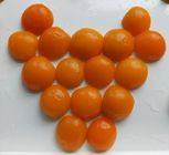 Cholesterin-freie eingemachte Aprikosen-Hälften mit Zucker 17g