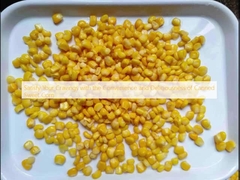 Befriedigen Sie Ihr Verlangen mit der Annehmlichkeit und Leckerkeit von Konserven aus Süßmais