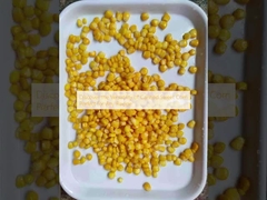 Entdecken Sie die Vielseitigkeit von Süßmais in Dosen, perfekt für jedes Rezept