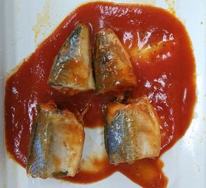 Weiche Geschmack-Makrelen-Fischkonserven/konservierten Makrele in der Tomatensauce keine Verunreinigung