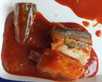 In Büchsen konservierte pazifische Makrele in der Tomatensauce