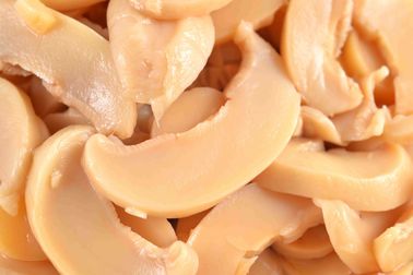 Nahrhafter in Büchsen konservierter Champignon-Pilz/ganzes eingemachtes Pilz-salziges Aroma