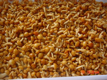Neue Ernte-gefrorene Obst und Gemüse Forest Nameko Mushroom Whole Part ABC IQF