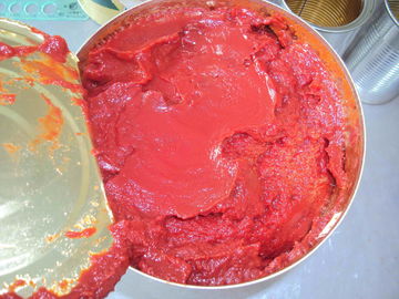Frisch gedämpfte BPA-freie Tomatenspray in Dosen ohne Zusatzstoffe und Allergene