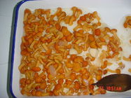 Ganzer Nameko-Pilz, der Frischgemüse in der Glas-Geschmack-salzigen multi Größe einmacht