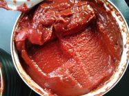 Kalter Bruch eingemachtes Tomatenkonzentrat ohne eigenartigen Geruch und Konservierungsmittel