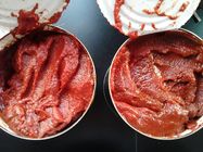 Kalter Bruch eingemachtes Tomatenkonzentrat ohne eigenartigen Geruch und Konservierungsmittel