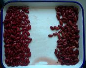 Sondergröße, die Frischgemüse-erstklassige dunkle britische rote Gartenbohnen in Büchsen konserviert