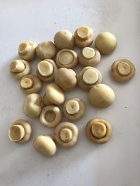 190g konservierte in Büchsen, allgemeinen ganzen Cultivatea-Pilz/bessert aus und hält auf