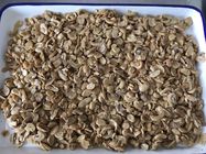 Schneidet neue Ernte-Prämie in Büchsen konservierter Champignon-Pilz keine künstlichen Zusätze