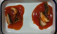 Heiße würzige eingemachte Sardinen-Fische in den Tomatensauce-Sondergrößen und der Verpackung