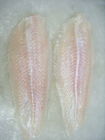 Köstliches gefrorenes Fische gefrorenes Massenpangasius beinen/Basa-Fische von Vietnam aus