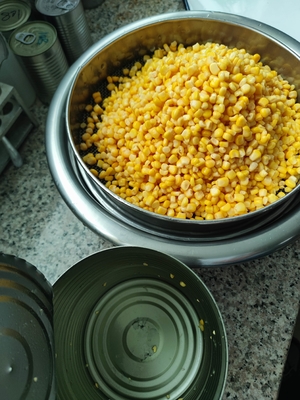 Canned Sweet Corn The Perfect Canned Corn Kernels for Your Business