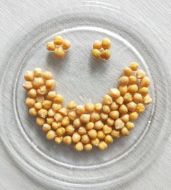 Konservierte billiger Preis eingemachter Kichererbsen-Großhandel Chick Peas 400g