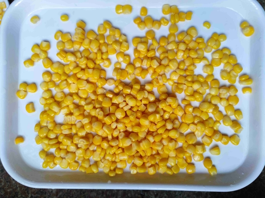 Schöner Geschmack und Nährstoffe für Tacos und Casseroles