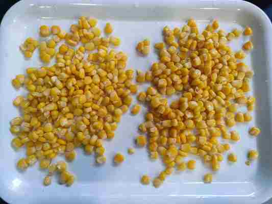 Frischer Mais in Dosen, Süßmais für Obst und Pilze