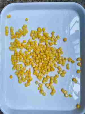 Fertig zum Verzehr: Süßer Mais in der Dose, perfekt für jedes Gericht