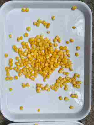 Teile Süßmais-Kern Dosen-Süßmais Beladung Allergene Kann Spuren von Soja und Weizen enthalten