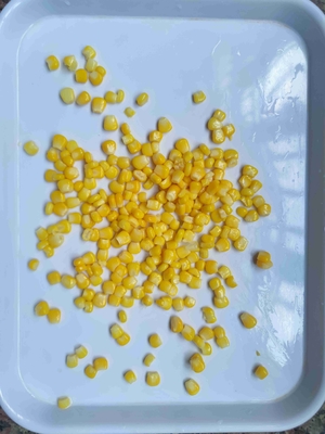 Metel Tin Canned Corn Sweet mit Super Sweet Variety Primärverpackung