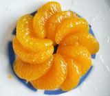 Färben Sie eingemachte Mandarine-Scheiben-Form im hellen/schweren Sirup gelb
