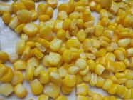 Eingemachte Mais-Fabrik nicht GMO konservierte Mais in Büchsen konservierten Zuckermais im Zinn A10 in Büchsen
