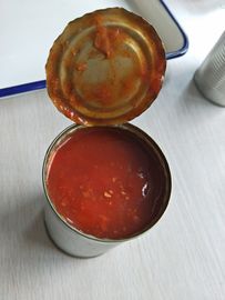 Körper Makrele Fisch in Dosen Geschmack in Tomatensoße Klares Öl