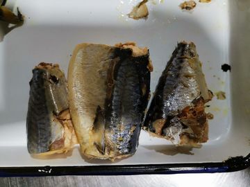 Mackerel Fischkonserven Speicher Anweisungen