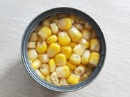 185g / 6.5oz färben Mais-Kern-eingemachte Verpackung im Karton/im Behälter gelb