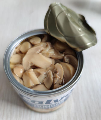 Grad-A in Büchsen konservierter Champignon-Pilz 580ml 720ml mit salzigem Aroma