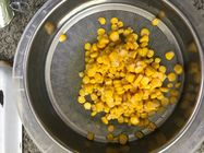 Weicher gelber in Büchsen konservierter Zuckermais für Lebensmittelverarbeitung