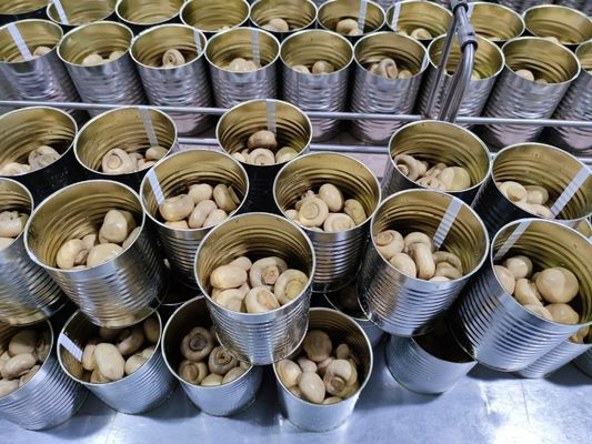 400g / 425g konservierte ganzer Pilz in Büchsen konservierte chinesische Pilze in Büchsen