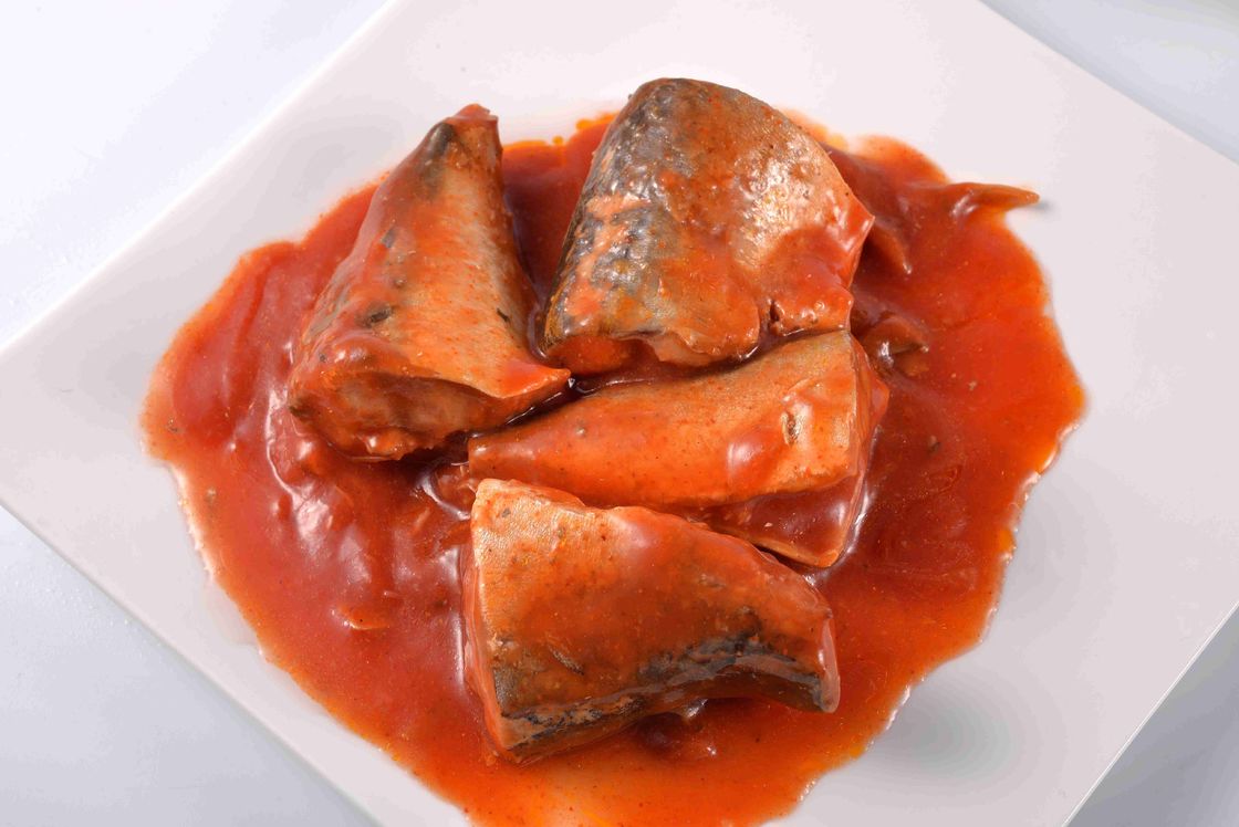 Blechverpackungs-Makrelen-Fischkonserven in Bescheinigung Tomatensauce FDAs HACCP