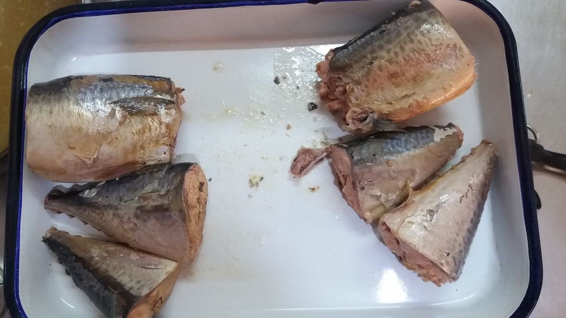 Wilde gefangene in Büchsen konservierte Makrele gesund in der Salzlösung, Makrelen-Leisten eingemacht für Salat