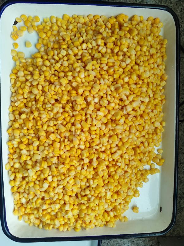 Gewürzter, konservierter Süßmais für den Landmarkt Obst und Pilze