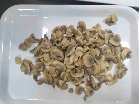 Gestopfter Champignonpilz in Dosen Aufbewahren an kühlem und trockenen Ort für Gemüse in Dosen
