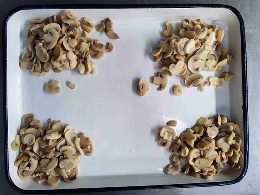 24 Monate Haltbarkeit Wasser, Champignon in Dosen