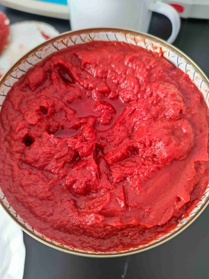 Bostwick 5.0-9.0cm/30sec Tomatensauce in Dosen mit Fruchtzusatzstoffen