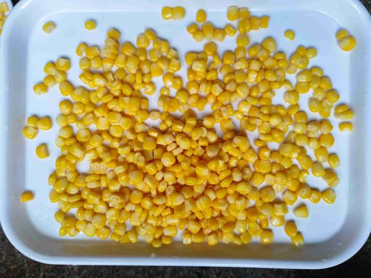 Frisches Maismaterial Süßmais in Dosen 425 g x 24 Lager in kühler Umgebung perfekt für die Lebensmittelverarbeitung