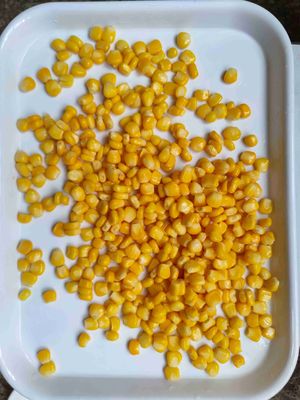 Hochwertiger Dosen-Süßmais mit 2 Jahren Haltbarkeit und 1080 Kartons pro 20-Fuß-Container