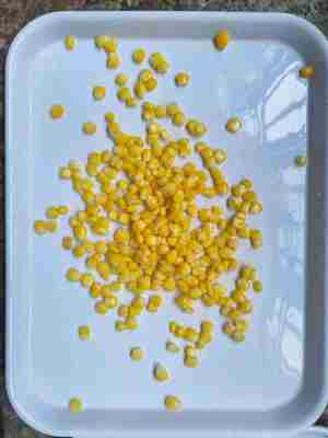 Sirup 7.5 bis 9.0 Gelber Mais in verschiedenen Größen 90g 184g 340g und 425g Ideal für die Lebensmittelindustrie