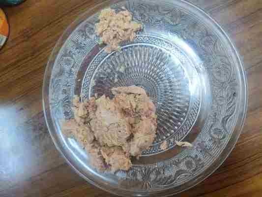 In Wasser eingelegte Thunfischstücke in Öl – eine köstliche und nahrhafte Ergänzung für Ihre Küche