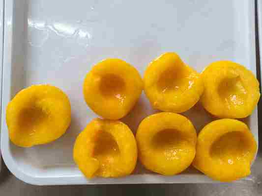 Saison Gelbe Pfirsiche in Dosen für die Ernte von JULI-AUGUST, Land