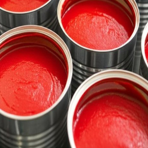 Praktische Tomatensauce aus der Dose, kühl gelagert, für geschäftige und gesundheitsbewusste Köche